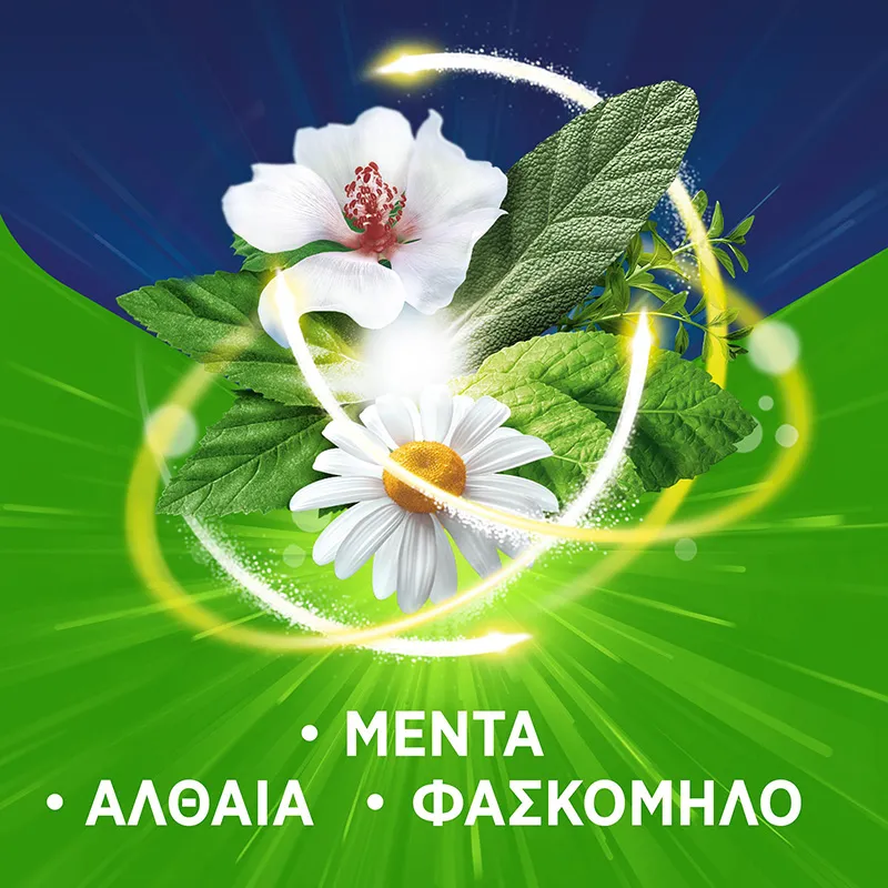 PAN NATURAL - COUGH Παστίλιες για τον ερεθισμένο λαιμό & τον βήχα (γεύση βατόμουρο) - 16τεμ.